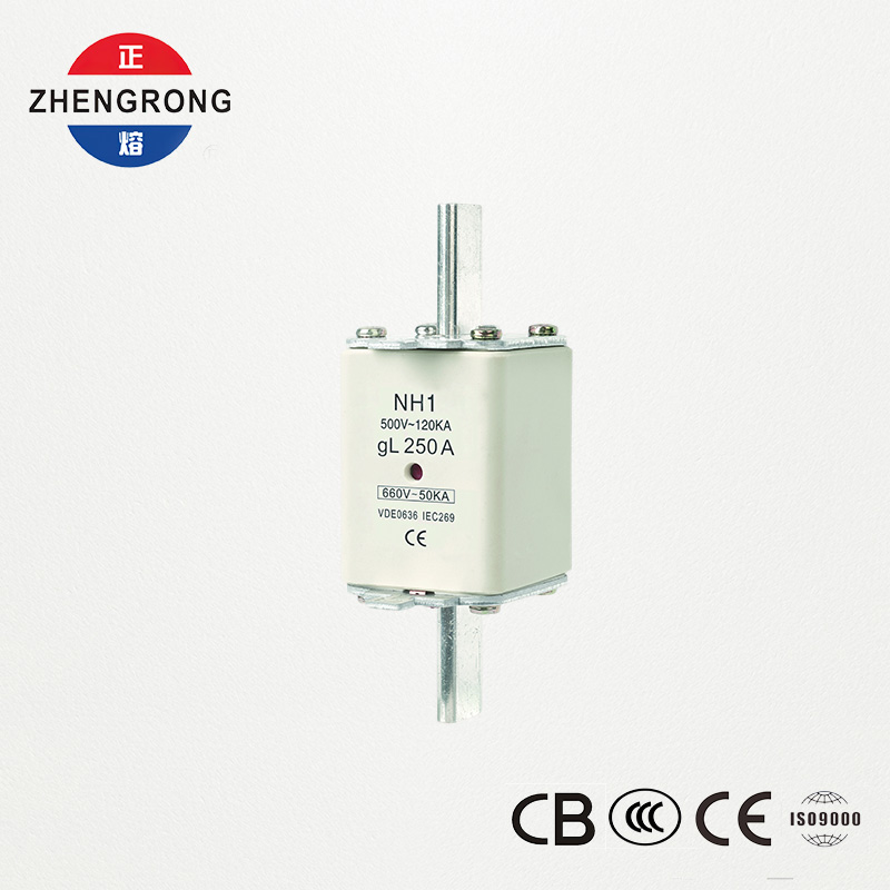 رابط الصمامات المعتمد من CE & IEC NH1 500V 250A قدرة كسر عالية