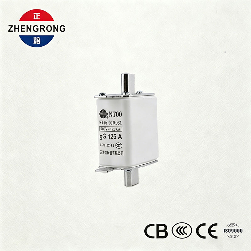 قدرة كسر عالية NT00 125A Fuse - 500V 120kA Ceramic gG Fuse Link