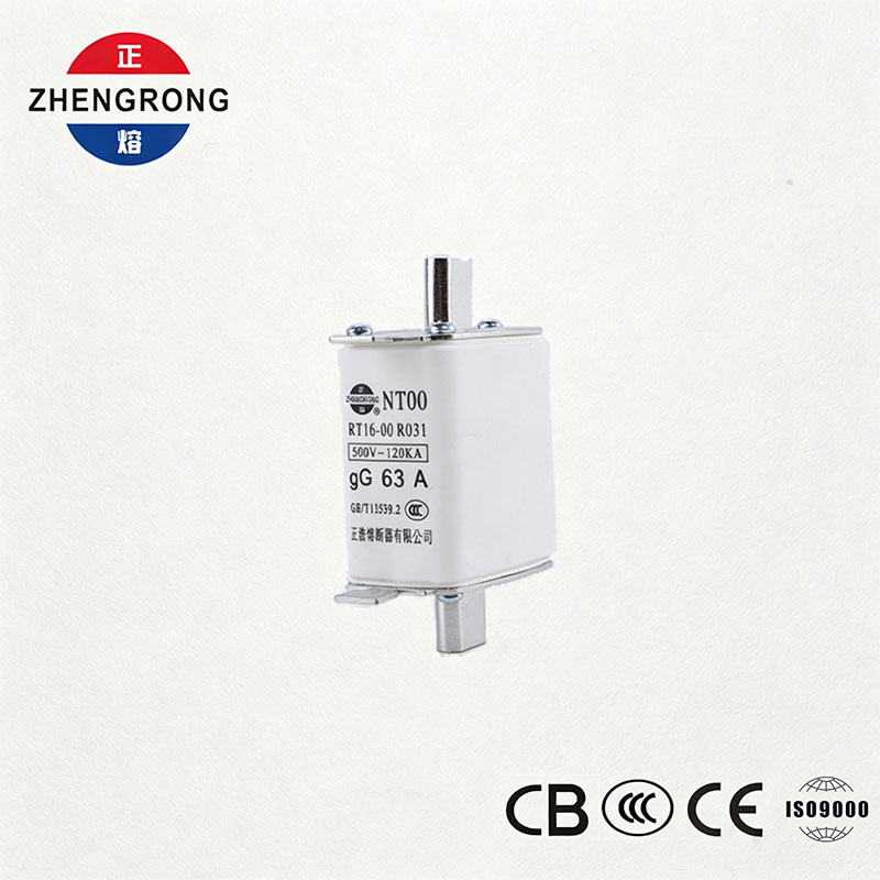 قدرة كسر عالية NT00 63A Fuse - 500V 120kA Ceramic gG Fuse Link