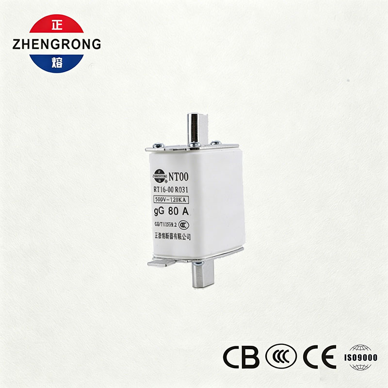 قدرة كسر عالية NT00 80A Fuse - 500V 120kA Ceramic gG Fuse Link